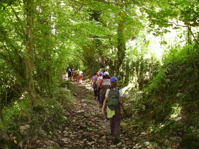 Senderismo en el campamento